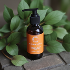 Gentle Glow Cleansing Oil with greens on a stone surface