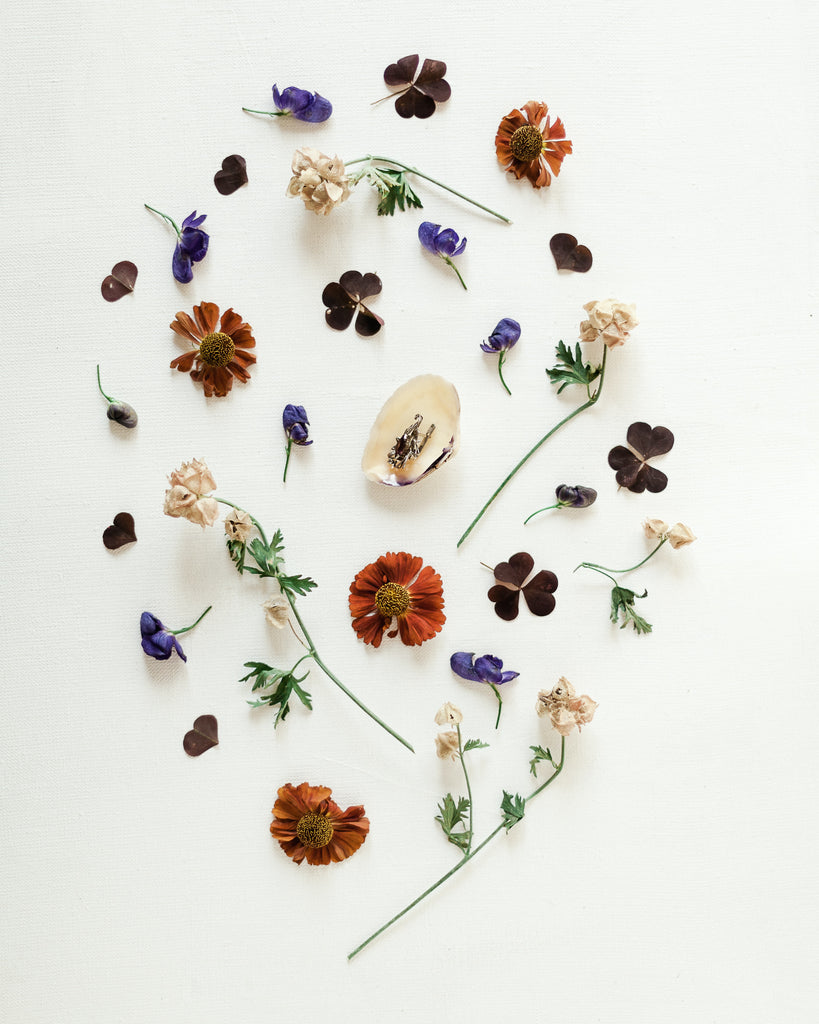 Dried flowers and plants arranged in a circle on a white background